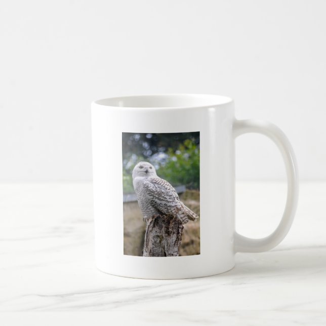 Taza De Café Búho de nieve (Derecha)