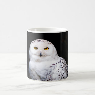 Taza De Café Búho de nieve invernal majestuoso