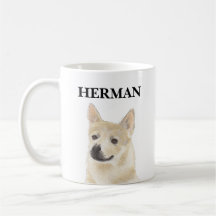 Buhund noruego personalizado