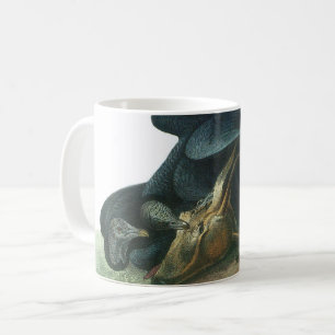 Taza De Café Buitre negro de Audubon