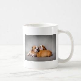 Taza De Café Bulldog inglés durmiente