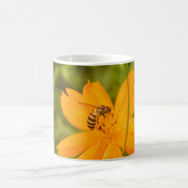 Taza De Café Bumblebee on a Sulfur Cosmos