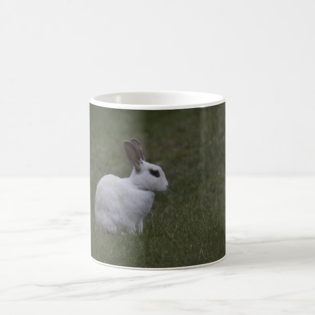 Taza De Café Bunny de punto blanco (Centro)