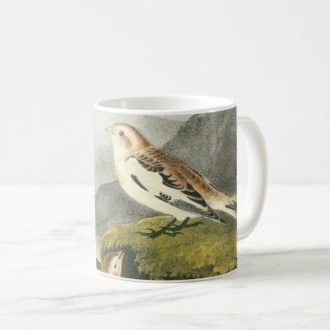 Taza De Café Bunting de nieve de Audubon (Anverso derecho)