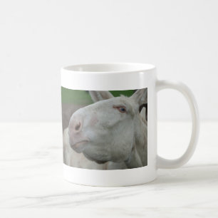 Taza De Café Burro blanco austríaco-húngaro