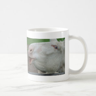 Taza De Café Burro blanco austríaco-húngaro