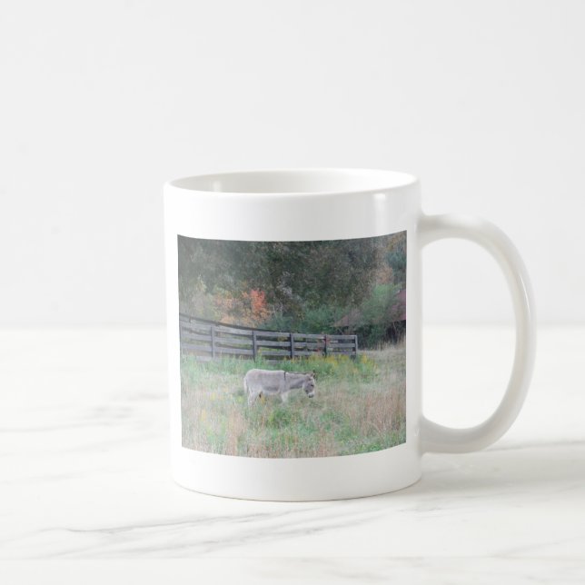 Taza De Café Burro en un campo otoñal. (Derecha)