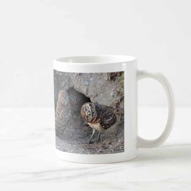 Taza De Café Burrowing Owl (Derecha)