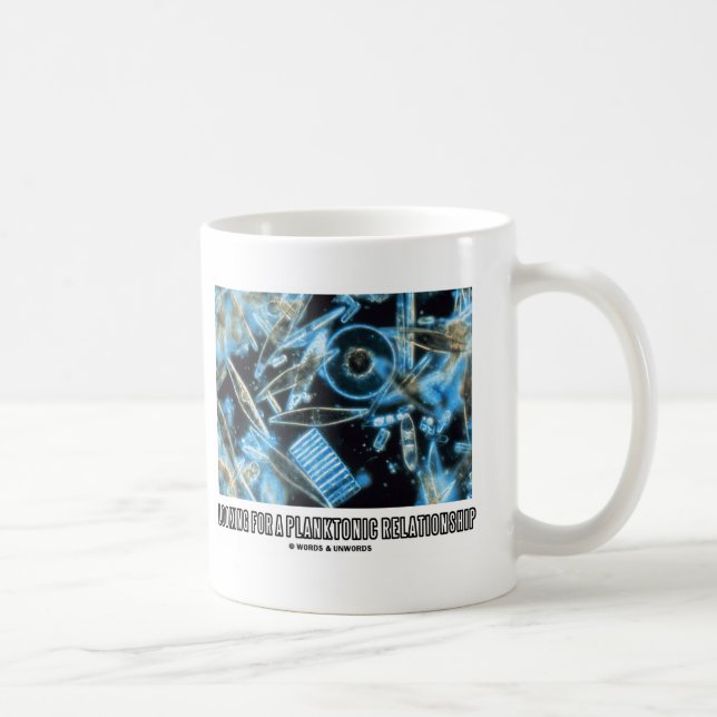 Taza De Café Buscando Diatomas De Relación Planctónica (Derecha)