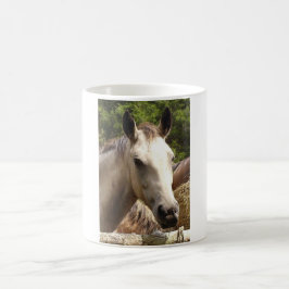 Taza De Café Caballo 4 Mug