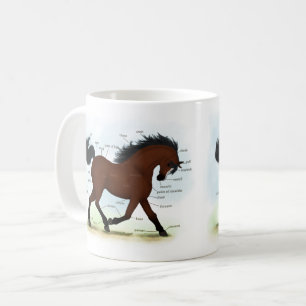 Taza De Café Caballo de Bahía con gráfico anatómico educativ
