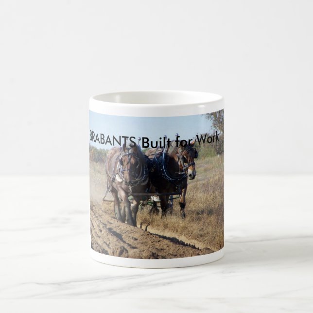Taza De Café Caballo de proyecto belga de Brabants (Centro)