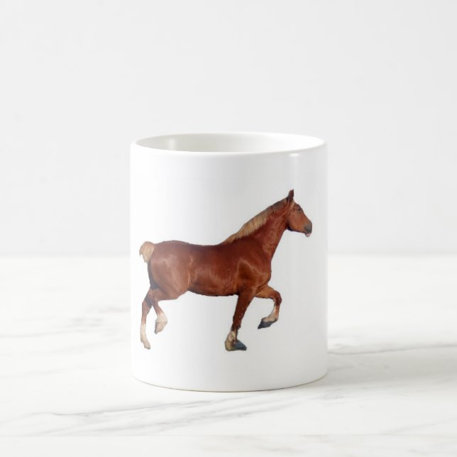 Taza De Café Caballo de proyecto belga - Kandy (Centro)