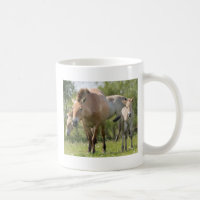 Caballo de Przewalski y potro caminando