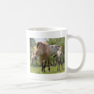 Taza De Café Caballo de Przewalski y potro caminando