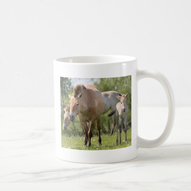 Taza De Café Caballo de Przewalski y potro caminando (Derecha)