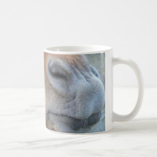 Taza De Café Caballo divertido