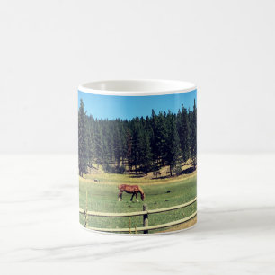 Taza De Café Caballo en pastoreo