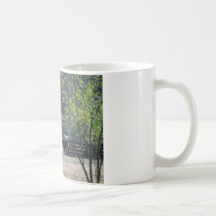Taza De Café Caballo marrón caminando a través de la cerca