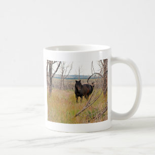 Taza De Café caballo salvaje en Mesa Verde
