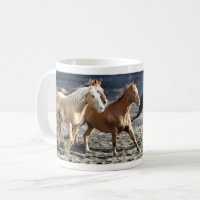 Caballos corrientes salvajes