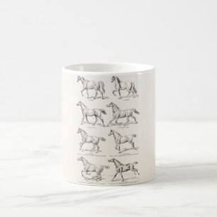 Taza De Café Caballos del ilustracion de los pasos del caballo