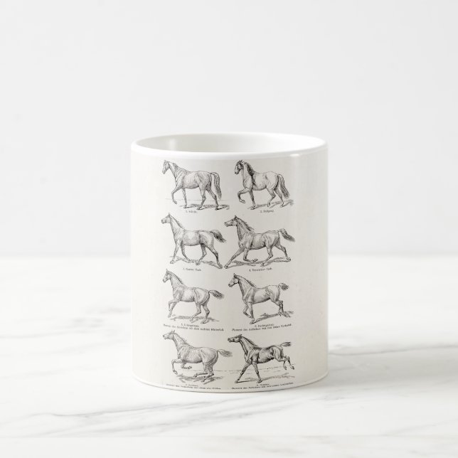 Taza De Café Caballos del ilustracion de los pasos del caballo (Centro)