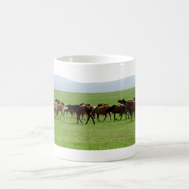 Taza De Café Caballos en pastoreo - Fotografía paisajística (Centro)