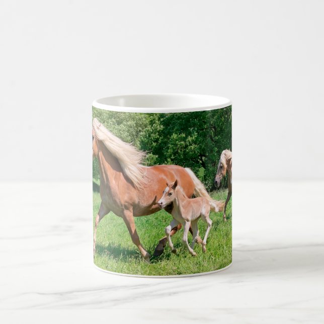 Taza De Café Caballos Haflinger con estúpidos tontos corren gra (Centro)