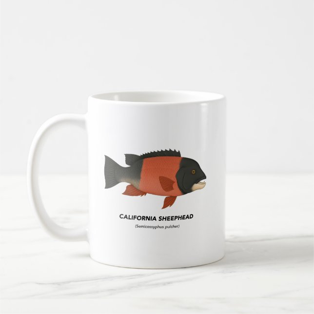 Taza De Café Cabecera de California - Animales marinos de Calif (Izquierda)