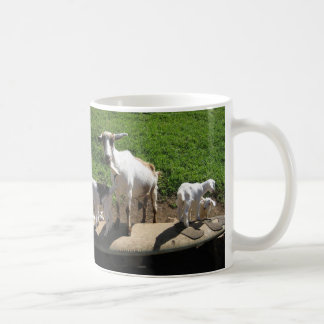 Taza De Café Cabras que practican surf