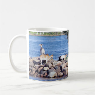 Taza De Café Cabras sobre rocas