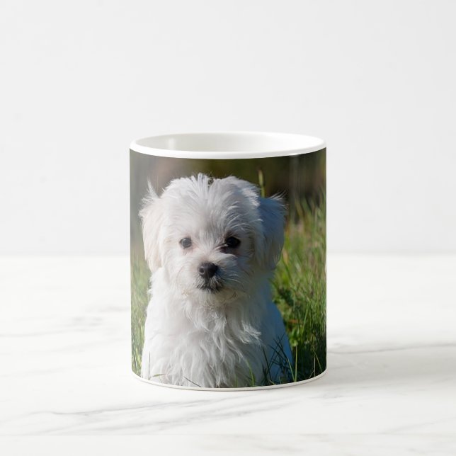 Taza De Café Cachorro blanco lindo (Centro)