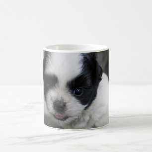 Taza De Café cachorro lindo
