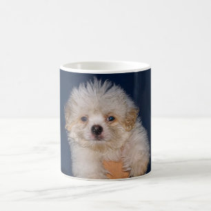 Taza De Café cachorro lindo