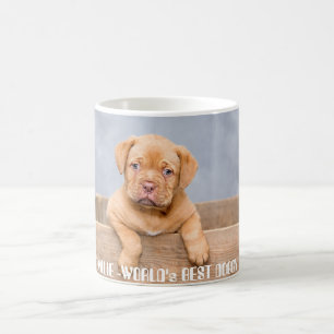 Taza De Café Cachorro Pitbull Dorado Personalizado con Nombre y