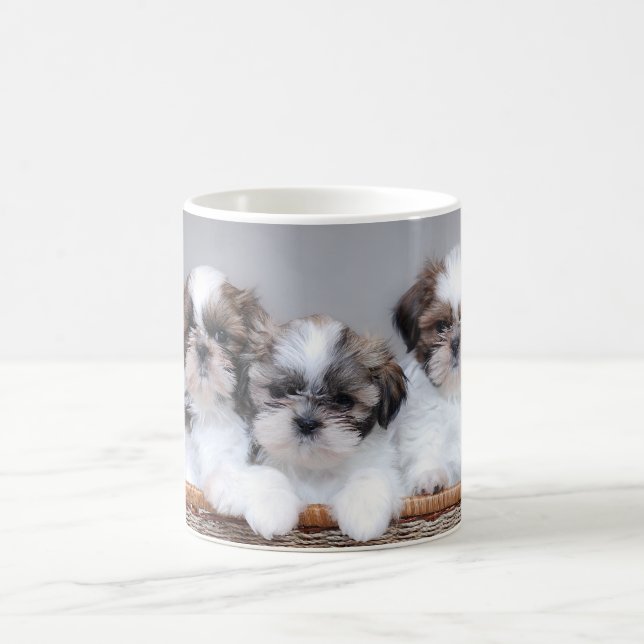 Taza De Café Cachorros de Shih Tzu (Centro)