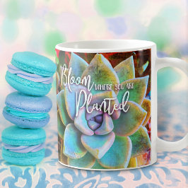 Taza De Café Cactus Verde Turquesa En El Lugar Donde Se Plantan