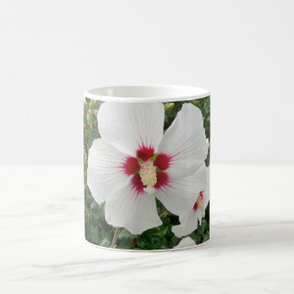Taza De Café Café blanco hibiscus mug