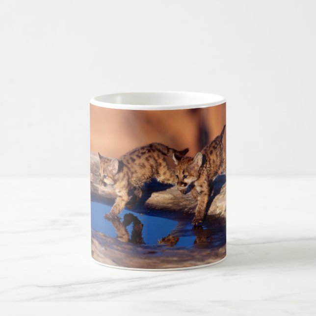 Taza De Café Café cerámico Mug-Cougar Cubs (Centro)