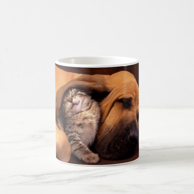 Taza De Café Café cerámico Mug-Dog & Kitten (Centro)