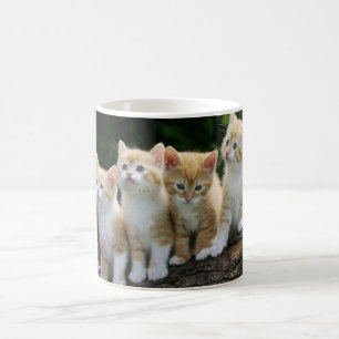 Taza De Café Café cerámico Mug-Kittens