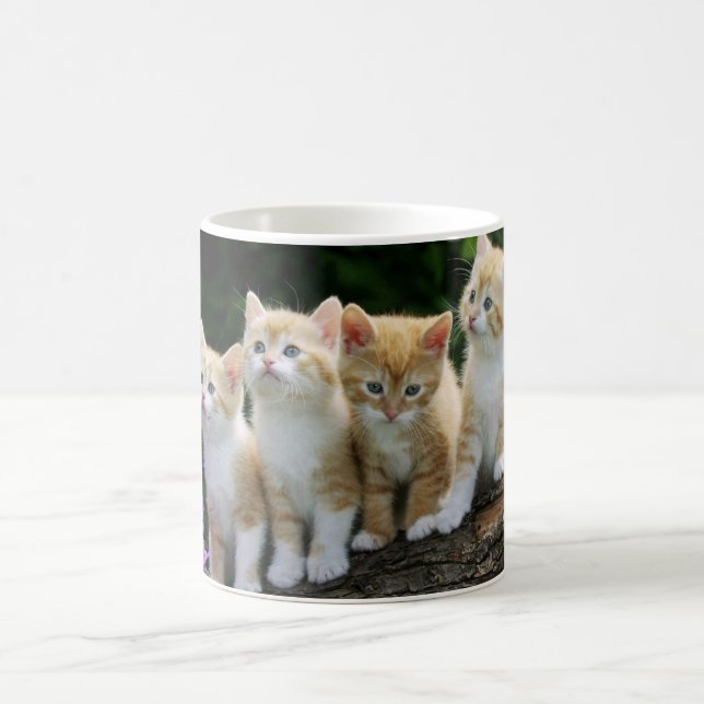 Taza De Café Café cerámico Mug-Kittens (Centro)