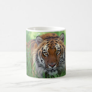 Taza De Café Café cerámico Mug-Tiger