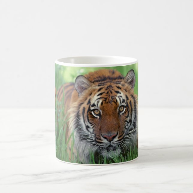 Taza De Café Café cerámico Mug-Tiger (Centro)