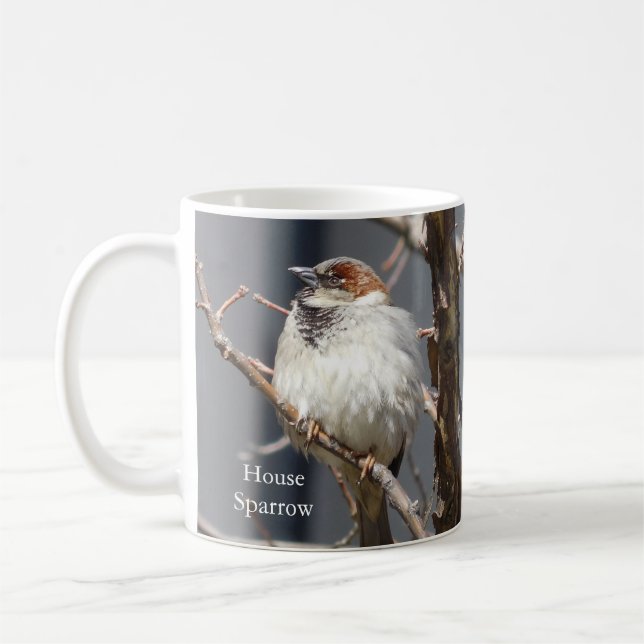 Taza De Café Café de espuma en casa (Izquierda)