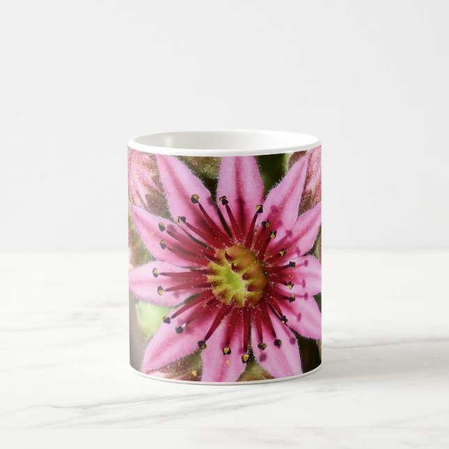 Taza De Café Café de flores rosadas Mag (Centro)