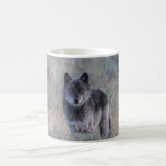 Taza De Café Café de Wolf