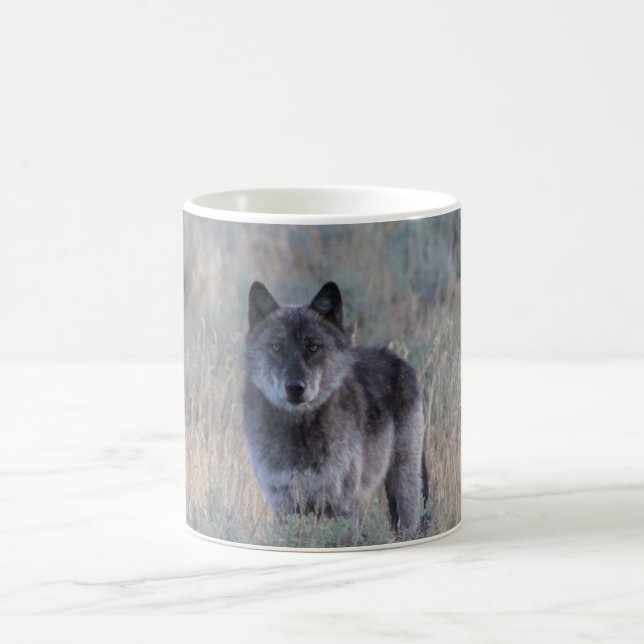 Taza De Café Café de Wolf (Centro)