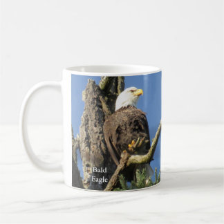 Taza De Café Café del águila calva, mug de BirdingCollectibles